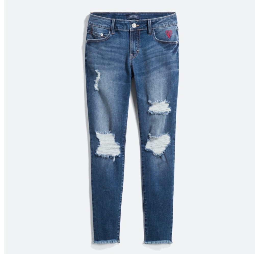 Delina Distressed Embroidered Skinny Jean